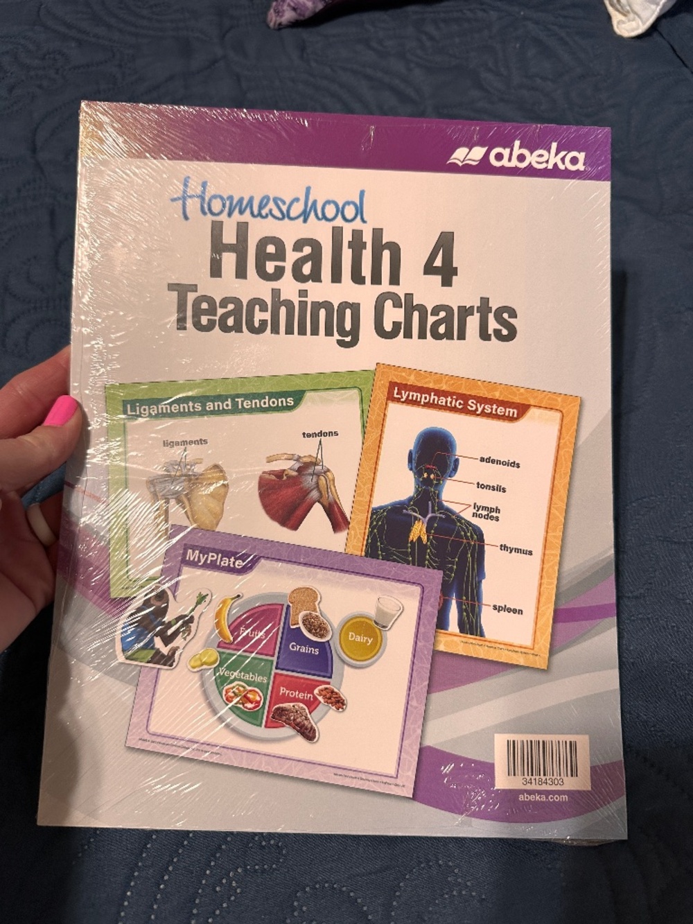 Health 4 Teaching Charts